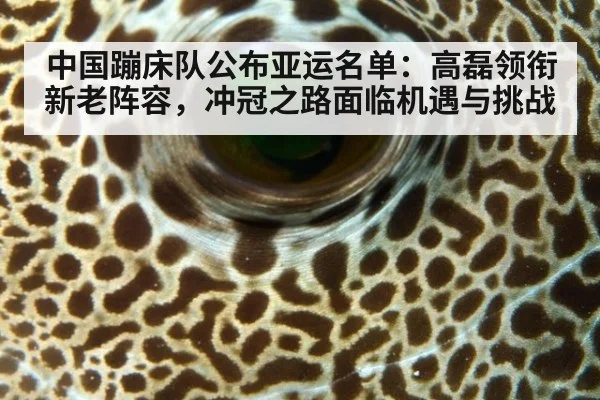中国蹦床队公布亚运名单：高磊领衔新老阵容，冲冠之路面临机遇与挑战