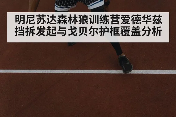 明尼苏达森林狼训练营爱德华兹挡拆发起与戈贝尔护框覆盖分析